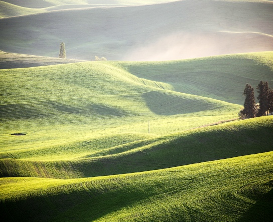 Palouse Green